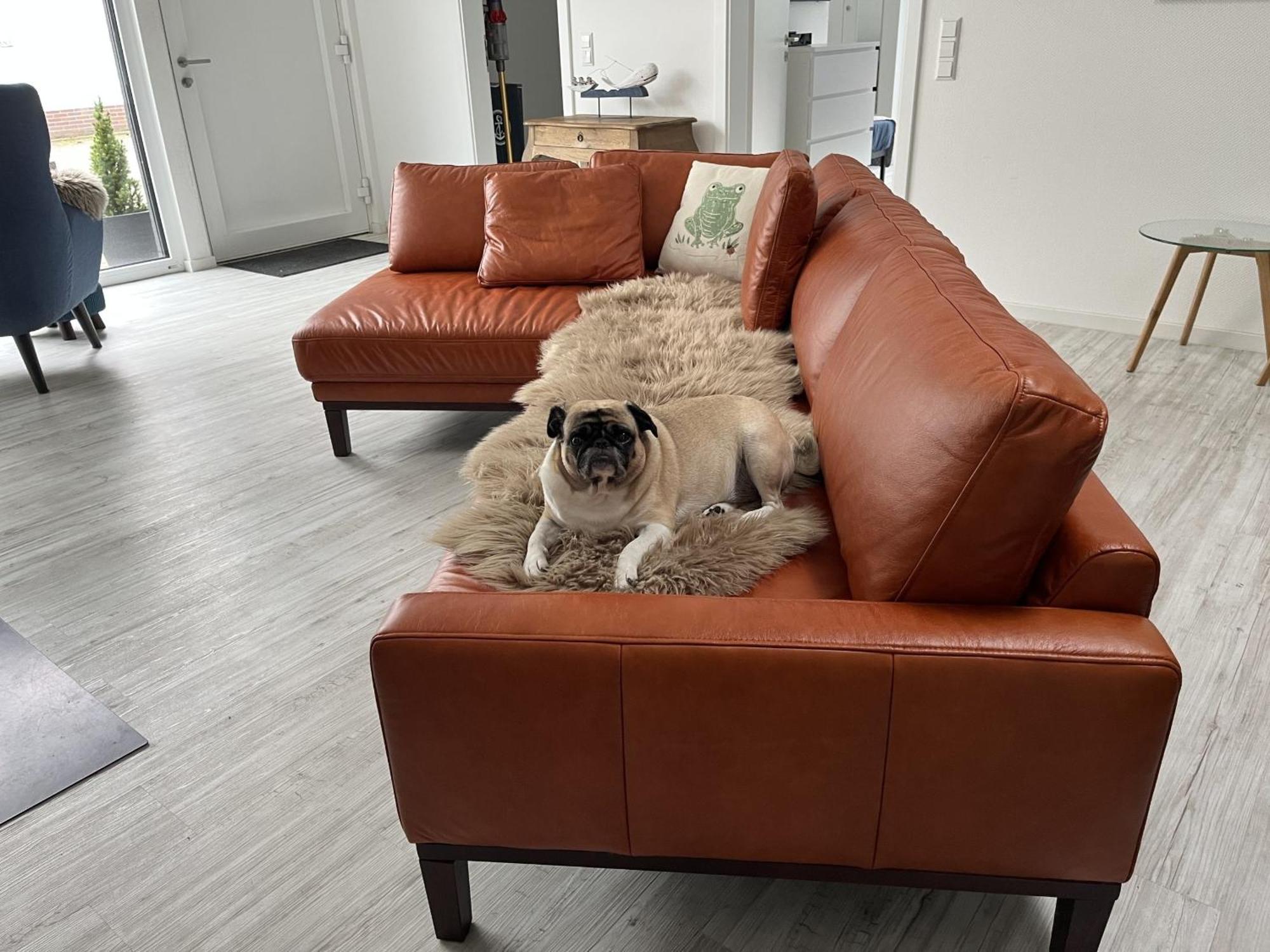 Ferienwohnung Nr 5 วุนสตอร์ฟ ภายนอก รูปภาพ